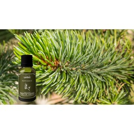 ACEITE ESENCIAL DE PINO SIBERIANO 30 ML.