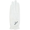 BRIEFING GOLF BRG241f01 Men's Briefing Glove