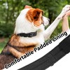 Tactical Dog Collar with Handle, Military Adjustable Heavy Duty Metal
