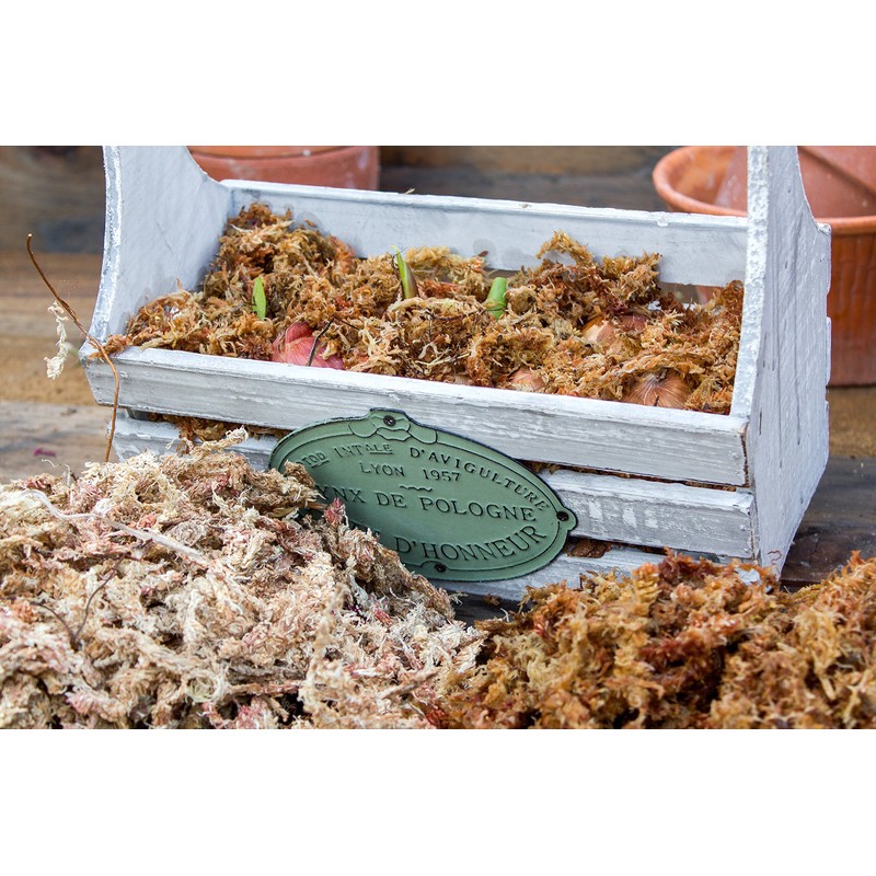 SuperMoss (22330) Orchid Sphagnum Moss Dried, Natural, 2.1lbs Small Bale