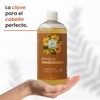 Shampoo Con Extracto De Árnica Regenerador Productos Mart Mexico 500