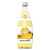 GuS Grown-Up Soda | Lightly Sweetened Sodas with Real Juices
