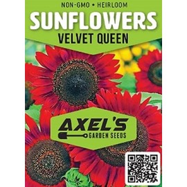 Sunflower Seeds for Planting - Grow Red Velvet Queen Sun Flowers in Your Garden - 25 Non GMO Heirloom Seeds - Full Planting Instructions for Easy to Grow - Great Gardening Gifts (2 Packets)