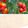 QWORK® Copper Mesh Slug and Snail Control,5Inches X 20 Feet,