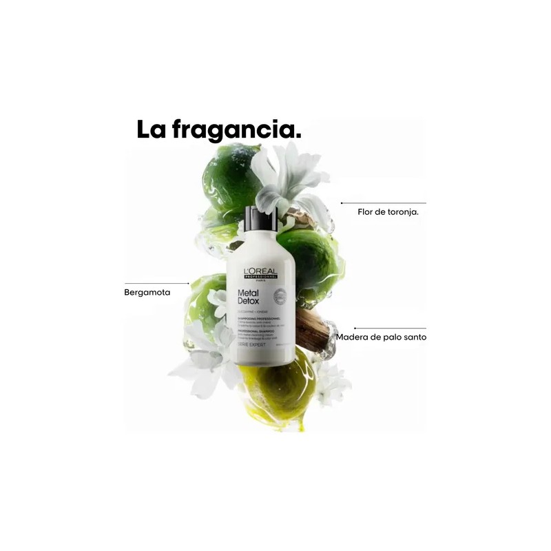 Shampoo L'oréal Professionnel Metal Detox 300ml
