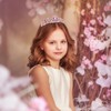 Jaciya Tiara Crowns for Women Princess Tiaras Multicolor Queen Crowns