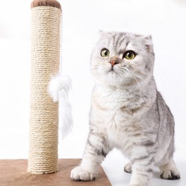 Nobleza Cat Scratching Post Small Cat Climbing Activity Center Kitty Climbing Tree with sisal Kitten Play Tower with Hanging Toys, Brown