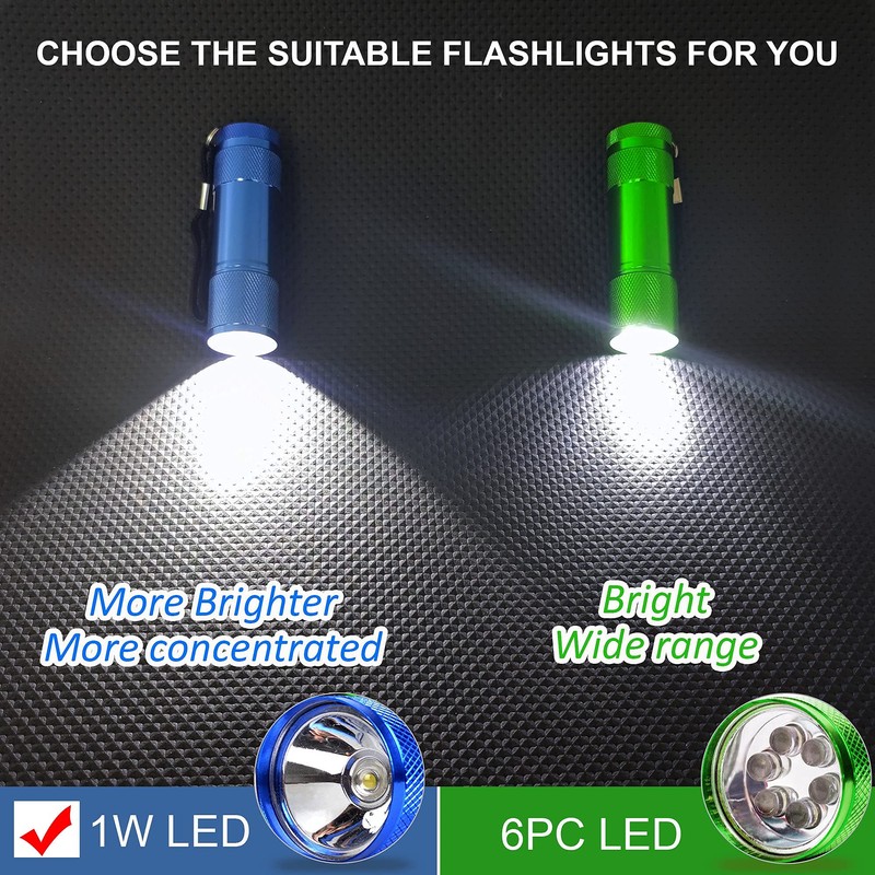 FASTPRO 20-Pack 100 Lumen Super Bright Aluminum LED Flashlights Set,