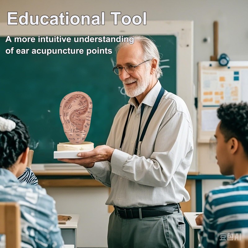 Ear Acupuncture Model - 17cm Ear Zone Model, Ear Massage