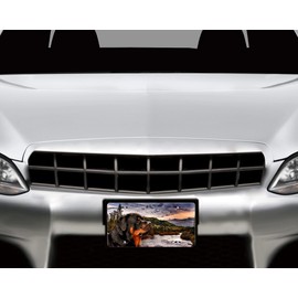Dog Vanity Aluminum Front License Plate (Rottweiler)
