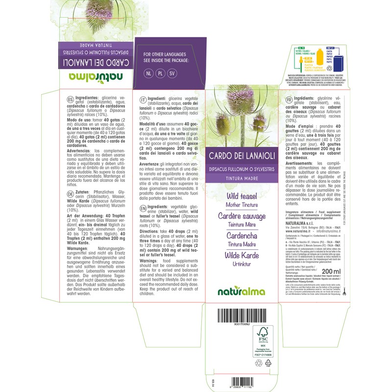 Wild Karde (Dipsacus fullonum or D. sylvestris) Roots Alcohol-free Mother