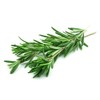 Rosemary Seeds for Planting, 100+ Heirloom Seeds Per Packet, (Isla's