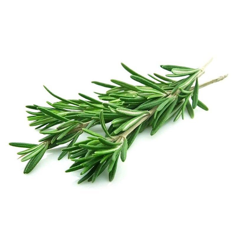 Rosemary Seeds for Planting, 100+ Heirloom Seeds Per Packet, (Isla's