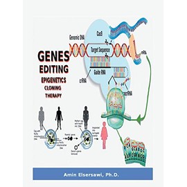 Gene Editing, Epigenetic, Cloning and Therapy