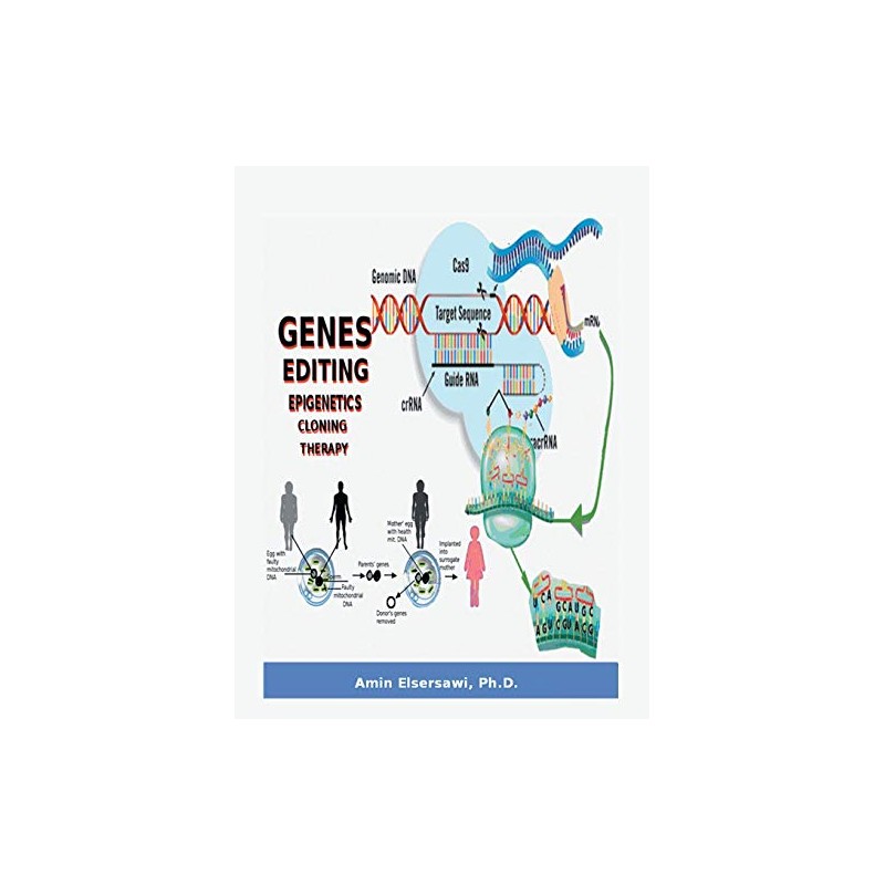 Gene Editing, Epigenetic, Cloning and Therapy