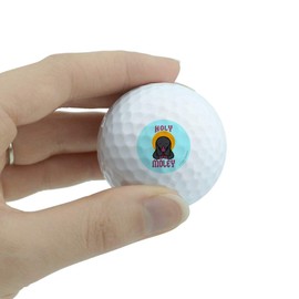 GRAPHICS & MORE Holy Moley Religious Mole Funny Humor Novelty Golf Balls 3 Pack
