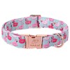 Babole Pet Adjustable Summer Dog Collar - Cute Pink Flamingo