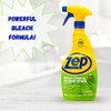 Zep Zep Mold Stain and Mildew Stain Remover - 32