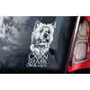 Cairn Terrier Dog on Board Car Window Sticker White Back