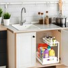 VUSIGN Under Sink Organizer, 2 Tier Pull Out Bathroom Cabinet