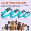 Dogline Collar de Nylon, Color Celeste, Meno