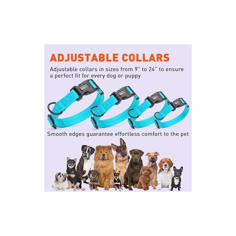 Dogline Collar de Nylon, Color Celeste, Meno