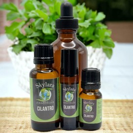 Cilantro Essential Oil - 100% Pure and Therapeutic Grade - Size: 4oz