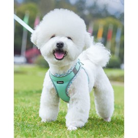 Petank Dog Harness for Small Medium Dogs No Pull, Puppy Harness and Leash Set, Easy Walk Dog Harness for Walking, Running, Training, Small Dog Harness, Medium Dog Harness (Green, XXS)