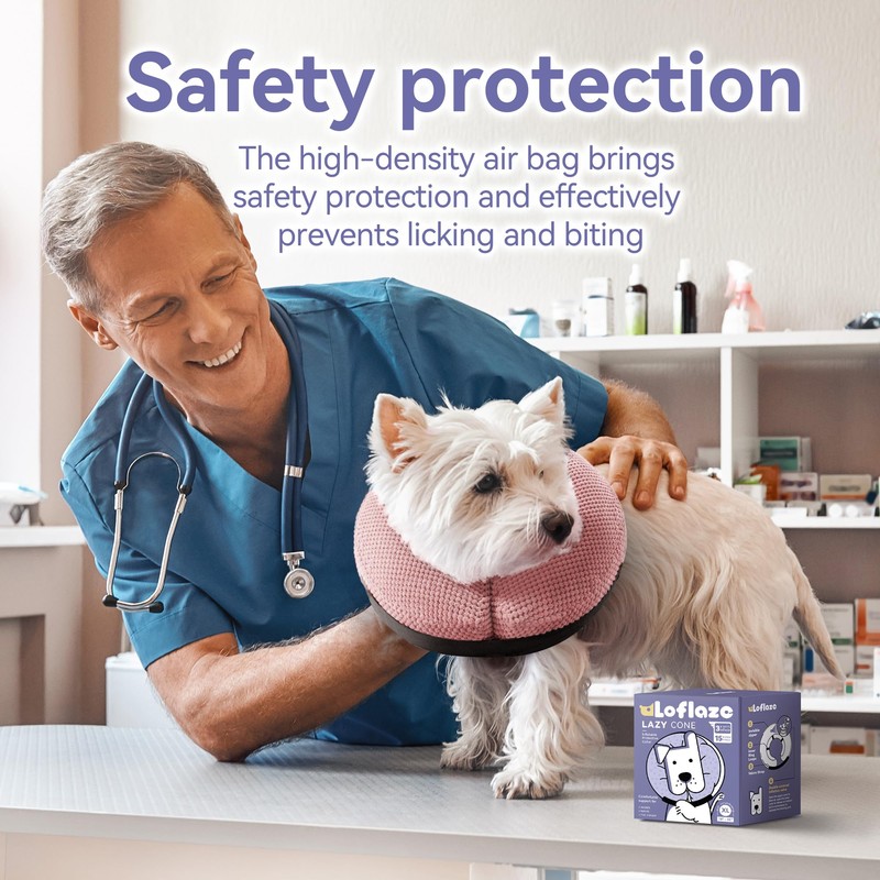 Loflaze DOGCONE (Pink(L))