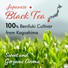 YAMASAN KYOTO UJI Sakura Black Tea Loose Leaf (80g) -