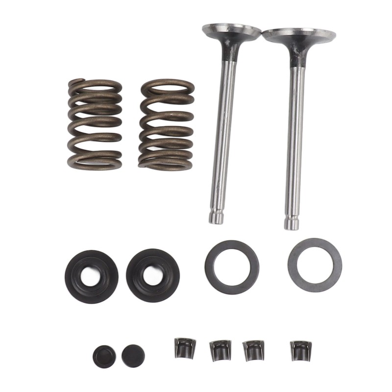 Microtiller Valve Parts Iron Wear Resistant Anti Corrosion Spring Washer