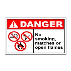 Fastasticdeals No Smoking Matches Or Open Flames Danger OSHA ANSI Safety Magnets Sign-Qty 2-9 x 12 Inches