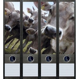 Set of 4 Folder Spines for Wide Folder Cows Cow Stickers Labels Decoration 017