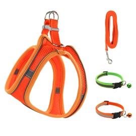 Andiker 4pcs Small Dog Harness and Leash Set, with Night Reflective Straps and Breathable Mesh Summer Puppy Harness with 2pcs Puppy Collars Lightweight Easy to Walk for Small Dogs, Cats (Orange)