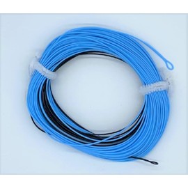 BestCity Fly Fishing WF7 Sinking tip Line With 2 Welded Loops 6IPS, Light Blue/Black