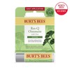 Burt's Bees 버츠비 레스큐오인트먼트 시카 스틱 Burt's Bees Res-Q Ointment Cica Stick