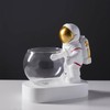 Astronaut Planter, Spaceman Glass Vase，Astronaut Resin Hydroponics Flower Vases，Led Light