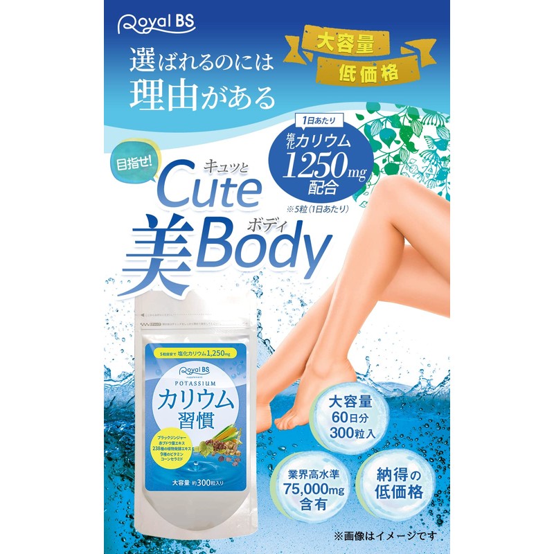 カリウム習慣 サプリメント 黒生姜 健康サプリメント ブラックジンジャー 黒ショウガ しょうがサプリ 生姜サプリ 黒ウコン ポリフェノール