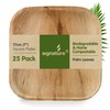 Signature Packaging - Disposable Palm Leaf Plates - Sturdy, Medium