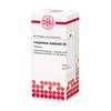 DHU Lespedeza sieboldii D6 Tablets, Pack of 80 Tablets