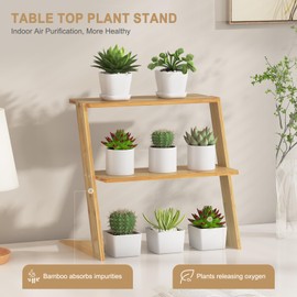 3 Tier Small Bamboo Plant Stand Shelf Adjustable, Wooden Display Stand for Plants Succulent Minimalist Cupcake Spice on Table Top Windw sill Office Desk Kitchen Countertop,Mini Flower Pot Holder Rack