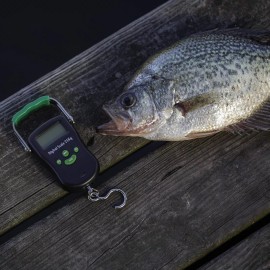 Smith's Sharpeners New Smith's Sharpeners RegalRiver Digital Fish Scales 51291