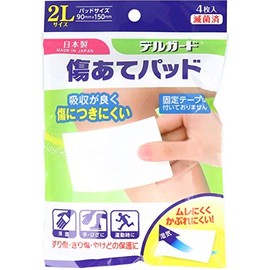 Delguard Scratching Pads 2L Size 4 x 4 Packs