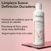 OUIDAD Advanced Climate Control Defrizzing Shampoo, 8.5 Fl Oz
