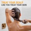 Neutrogena Healthy Scalp Rapid Renewal Conditioner with Pea Protein &