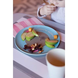 Red Rover Animal Bamboo Kid's Plates Set of 4 Multicolor
