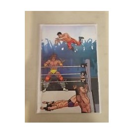 WWE #6 Royal Rumble Variant