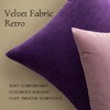 MIULEE Velvet Throw Pillow Covers 22x22 Inch, Pack of 2