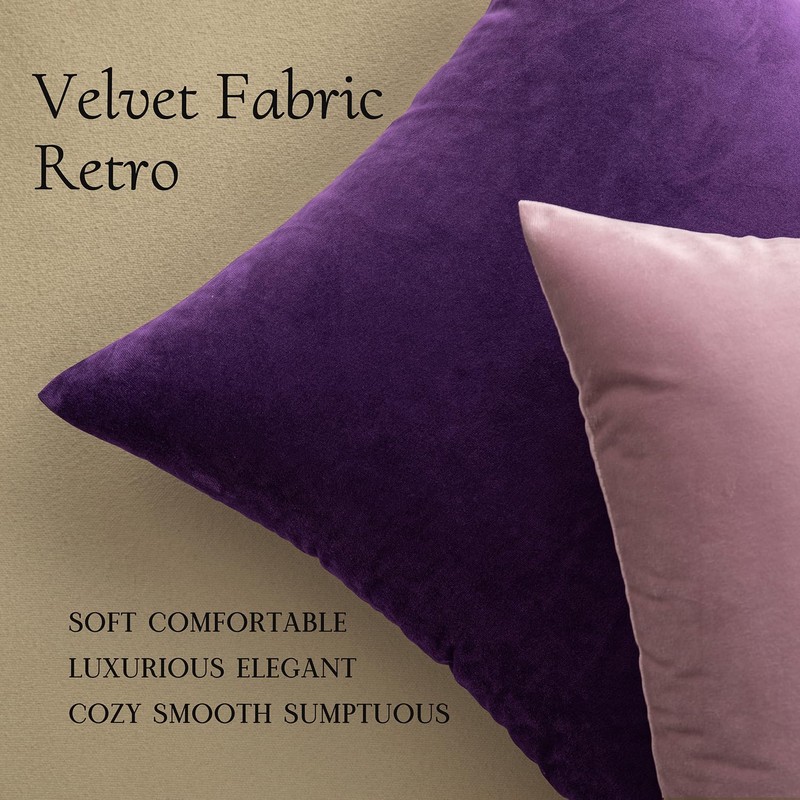 MIULEE Velvet Throw Pillow Covers 22x22 Inch, Pack of 2