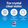 Clorox Pool&Spa 33512CLX Pool Shock XtraBlue (12 1-lb Bags), 12